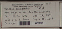 Image Associated With the Occurence